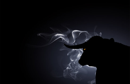 Black bull against a background of smoke with eyes burning fire.