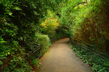 pathway in a park with overgrowth from both sides