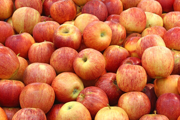 Fototapeta na wymiar Red apples as full frame. Background