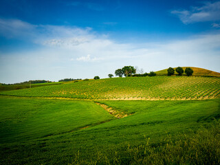 Farmland with hay rolls and farmhouses in Tuscany Italy