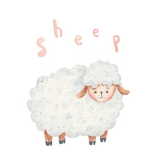 cute, curly lamb with the inscription on a white background, children's watercolor illustration, children's design of cards, invitations