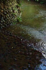 等々力渓谷　渓谷の流れ