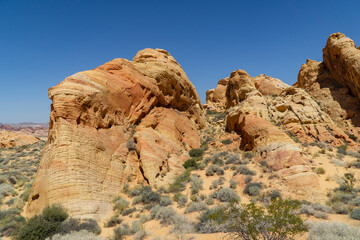 Fototapeta premium Nevada,Valley of Fire State Park