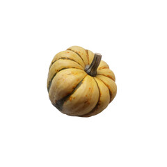 Mini yellow and green striped pumpkin vegetable seasonal image for autumn holiday thanksgiving and halloween design isolated on the white background