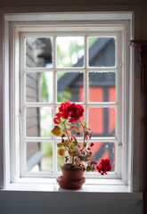 Blumentopf am Fenster in einem alten Bauernhof