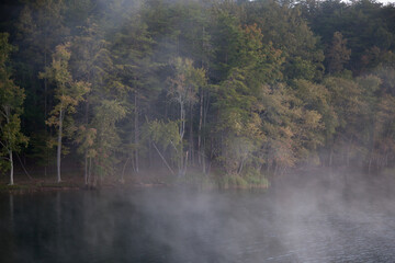 Morning mist with lake and trees