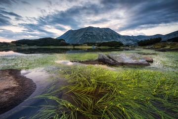 Magnificent summer view with a lake and mountain peak behind, Todorka peak and Muratovo lake in Pirin mountains, Bulgaria