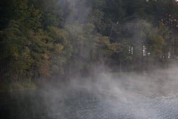 Fototapeta na wymiar Morning mist with lake and trees