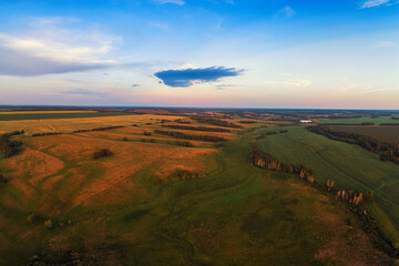 Top aerial view of green fields and meadows in evening summer