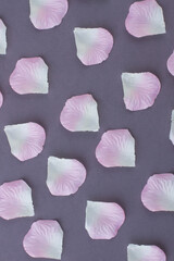Texture of pink petals on grey background. Top view flat lay.