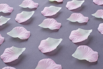 Flower petals neatly placed on a smooth grey surface. Perspective view.
