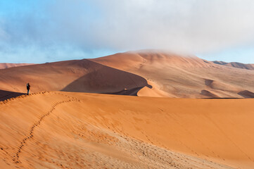 Fototapeta na wymiar View from sickle shaped sand dune at Sossusvlei towards north