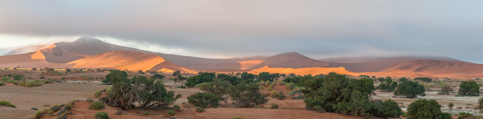 Panoramic view from Sossusvlei towards Deadvlei