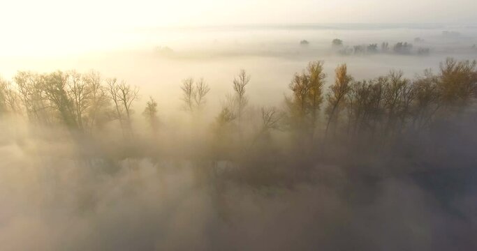 Aerial view to autumn landscape with river Seversky Donets and trees under morning fog and golden hills Zmievskie Kruchi near Zmiiv, Kharkiv region, Ukraine