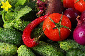 Cucumbers, tomatoes, onions, beetroot and peppers. Close-up.