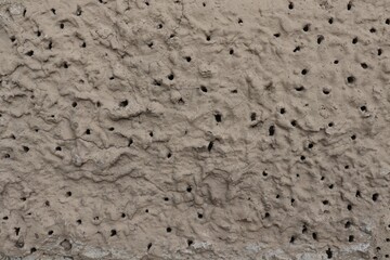 
Texture of plaster with large pores