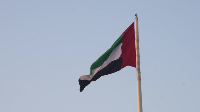 UAE flag flying in the wind