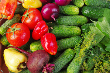 Cucumbers, tomatoes, onions, beetroot and peppers. Close-up.