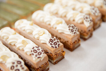 Close-up shot of row of fresh chocolate biscuits and brownies with nuts and pistachios catering