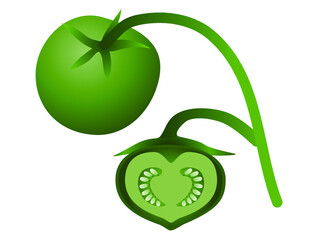 Fruits and seeds of potatoes on a white background.