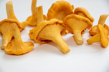 Real forest chanterelle mushrooms. A true delicacy.