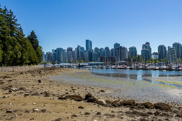 Naklejka premium The Vancouver Skyline and Stanley Park sea wall at low tide in summer