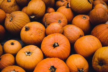 pile of pumpkins