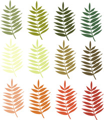 Fototapeta na wymiar a set of ashberry leaves in different colours in the autumn range. Vector elements for your design