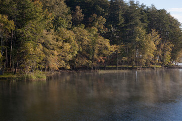 Trees reflected in a lake by the morning sunshine