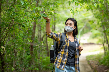 Asian female tourists are walking around the forest, enjoying the beautiful nature and the greenery. Travel, Recreation and Holiday Concept.