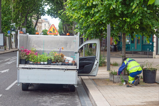 Fleurissement de ville.