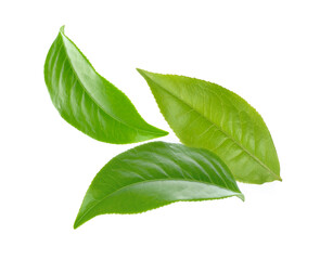 tea leaves on white background