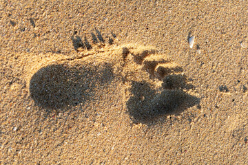 footprint in sand