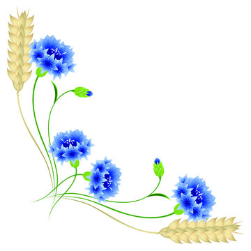 recommend clip art: Corner with blue cornflowers and wheat ears on a white background.