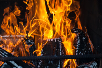 Close-up of a burning campfire fire in orange and yellow colors on wooden charred logs in a brazier behind metal rods before cooking a shish kebab on a black background.
