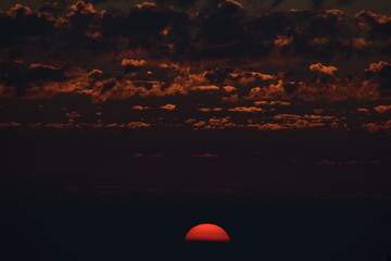Beautiful yellow marigold flowers in garden