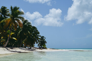 Fototapeta na wymiar Caribbean paradise