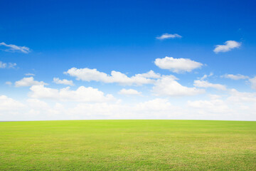 Fototapeta na wymiar green field and blue sky with clouds