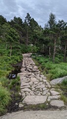 Fototapeta na wymiar Stone path in nature