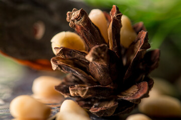 Cedar cone with seeds macro