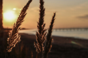 sunset at sea. variety of colors and hues of the rising sun