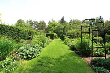 path in the garden