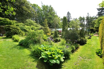 garden with flowers