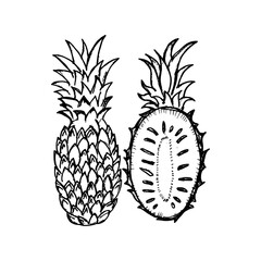 Pineapple icon on hand drawn style