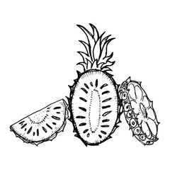 Pineapple icon on hand drawn style