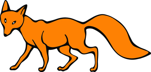 Vector of walking fox. Hand drawn stock illustration of a fox isolated on a white background.
