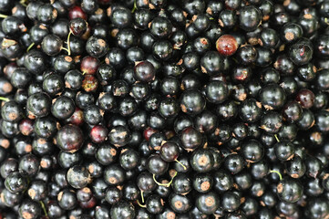 Black currant background close-up. View from above.