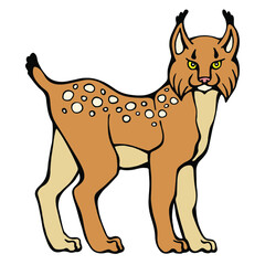 Vector of lynx cub. Hand drawn stock illustration of a young bobcat isolated on a white background.