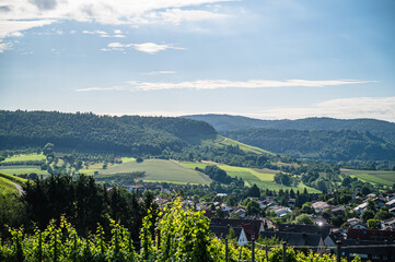 A beautiful landscape of a small town surrounded by vineyards forested mountains under a cloudy sky