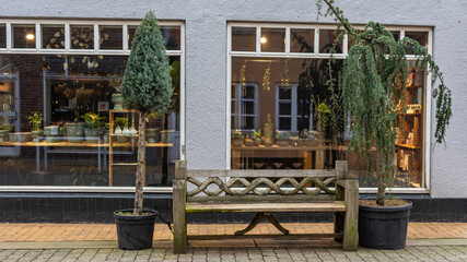 bench near the restaurant, restaurant on the main street, trees decorative